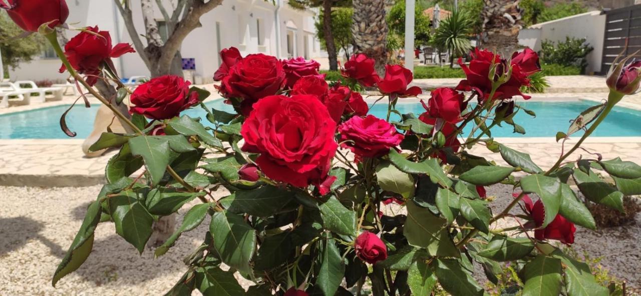 5 elementi Bed and Breakfast Porto Empedocle Buitenkant foto