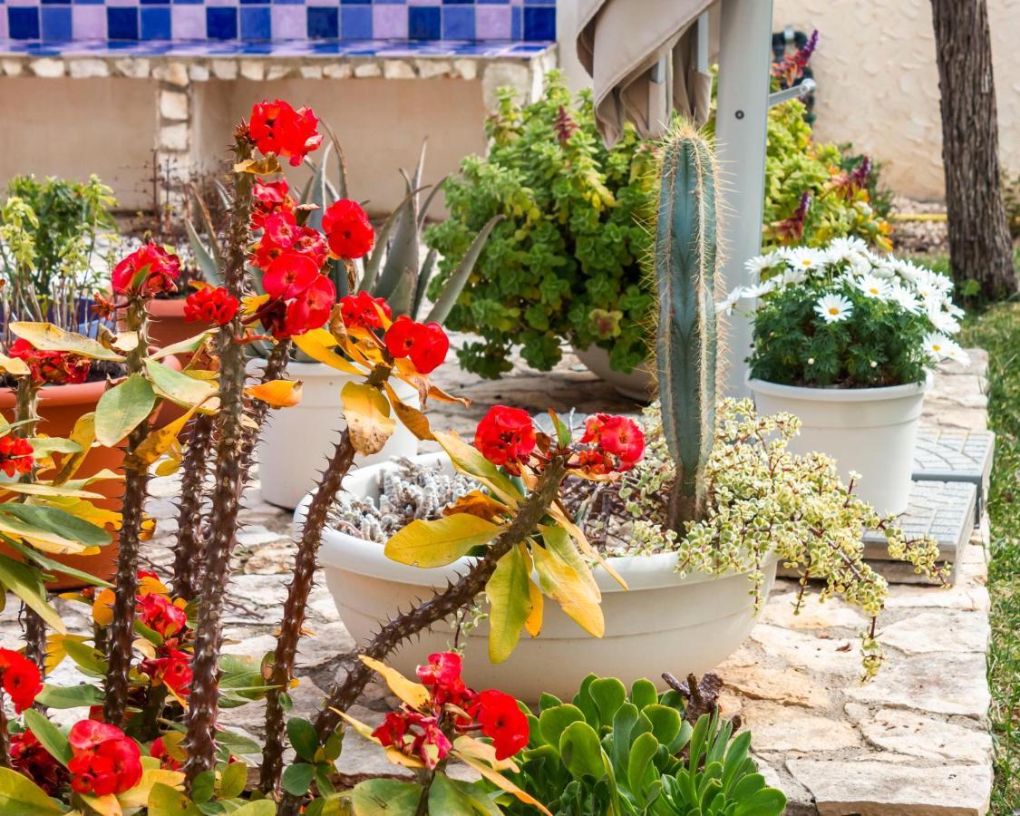 5 elementi Bed and Breakfast Porto Empedocle Buitenkant foto
