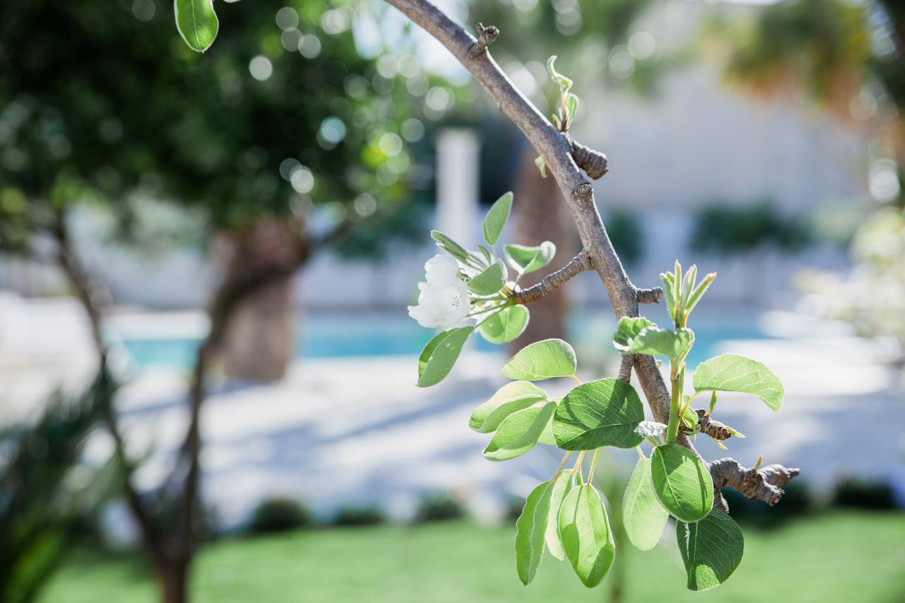 5 elementi Bed and Breakfast Porto Empedocle Buitenkant foto